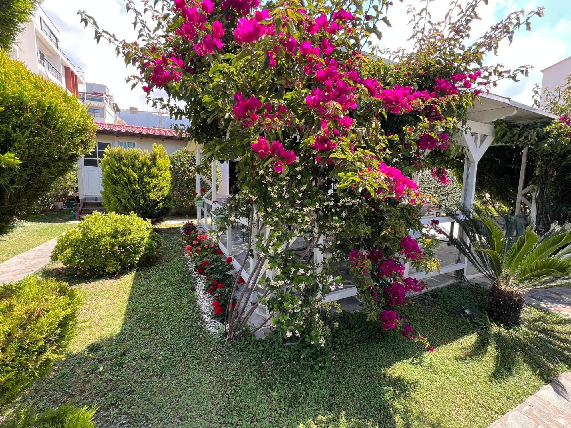 Nili Hotel Vlorë Esterno foto